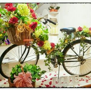 Meet your Posher, Karla